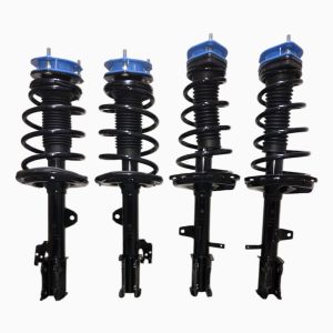 FULL FCS STRUT PACKAGE WITH LIFT
