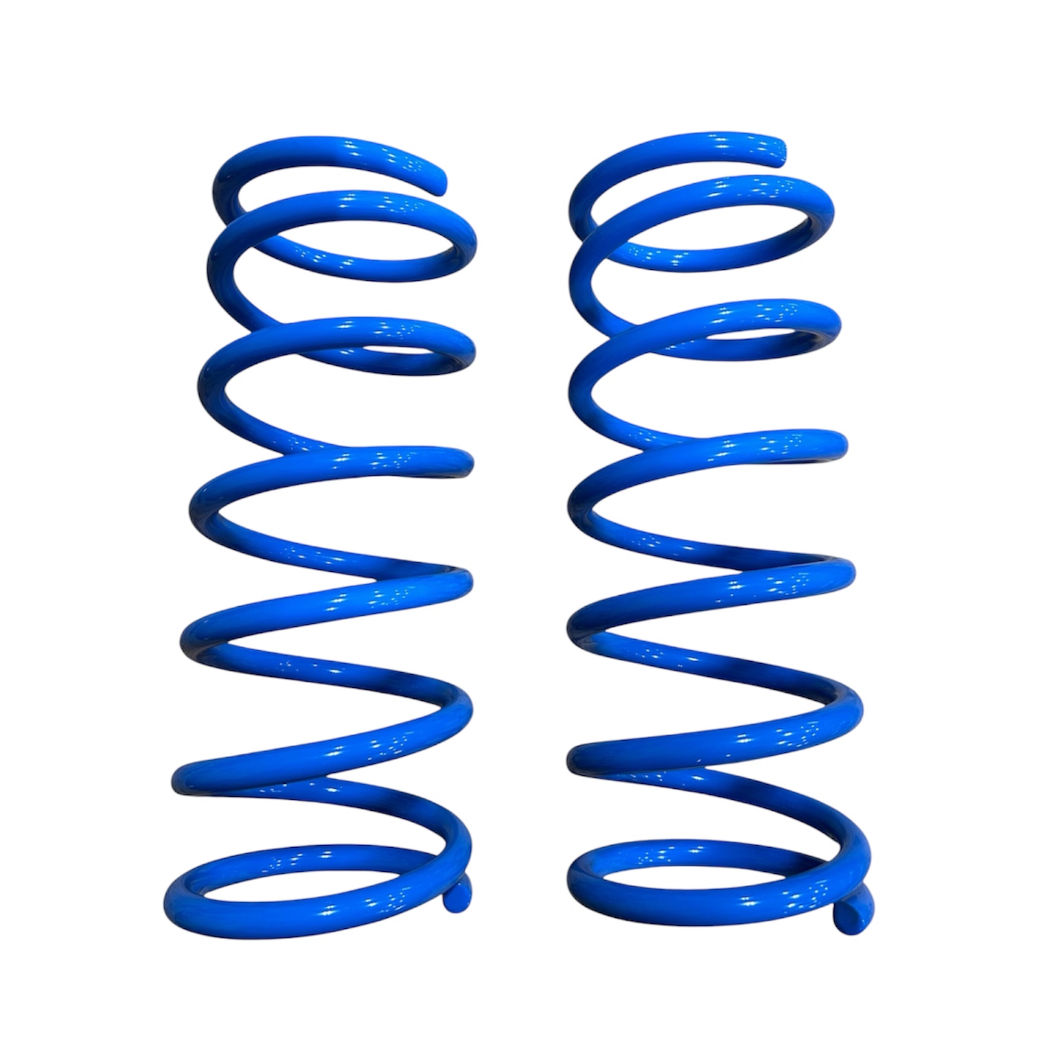 PERFORMANCE SPRING KIT REAR